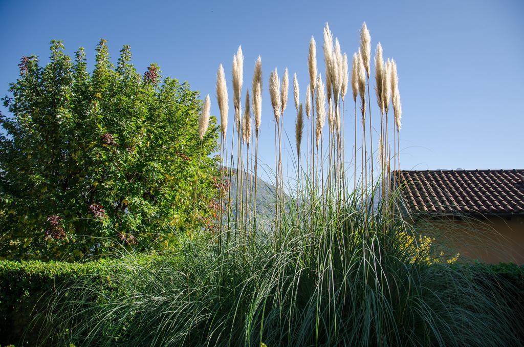 Anma Cottages Sole Lago Acquaseria Bagian luar foto
