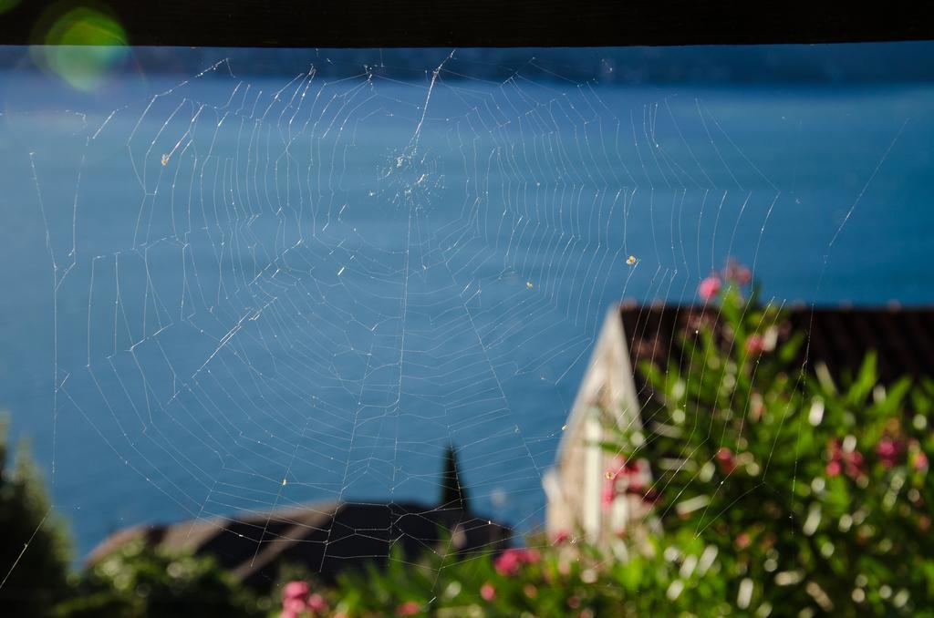 Anma Cottages Sole Lago Acquaseria Bagian luar foto